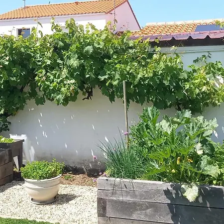 Des Huniers A La Chaume * Les Sables-dʼOlonne