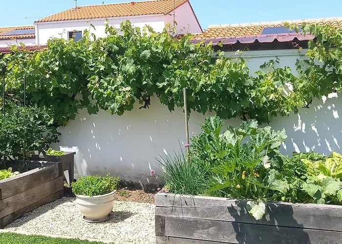 Des Huniers A La Chaume * 莱萨布勒-多洛讷